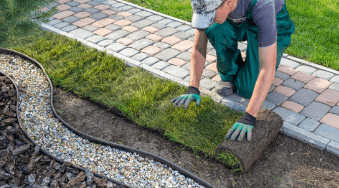 Professional landscaped garden with patio and planting